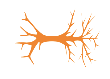 Troubles neurologiques
